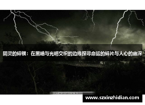 阴灵的碎银：在黑暗与光明交织的边缘探寻命运的碎片与人心的幽深