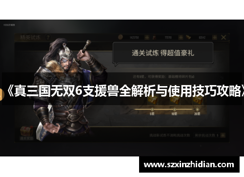 《真三国无双6支援兽全解析与使用技巧攻略》